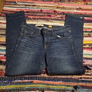 Anthropologie Pilcro Fit Stet Jeans